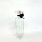 Midnight Rose 100ml Perfume Bottle Glass Bottle Press Bayonet Empty Bottle Perfume Packaging Premium Sub Bottle